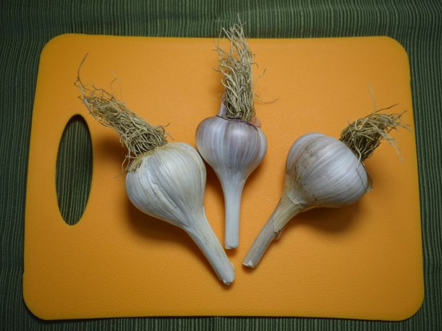 image of 3 garlic bulbs