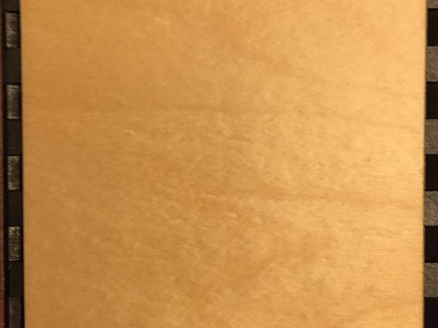 plain maple veneer panel